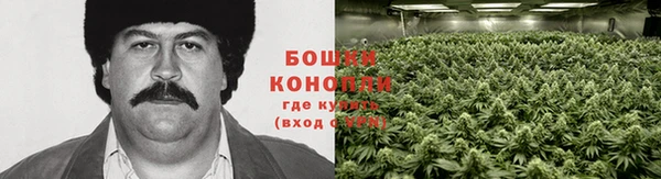 гашик Алексеевка