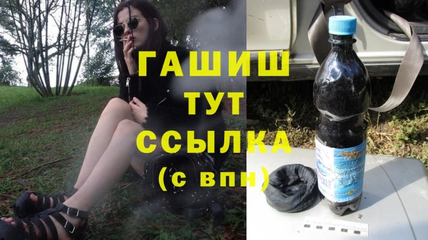 гашик Алексеевка