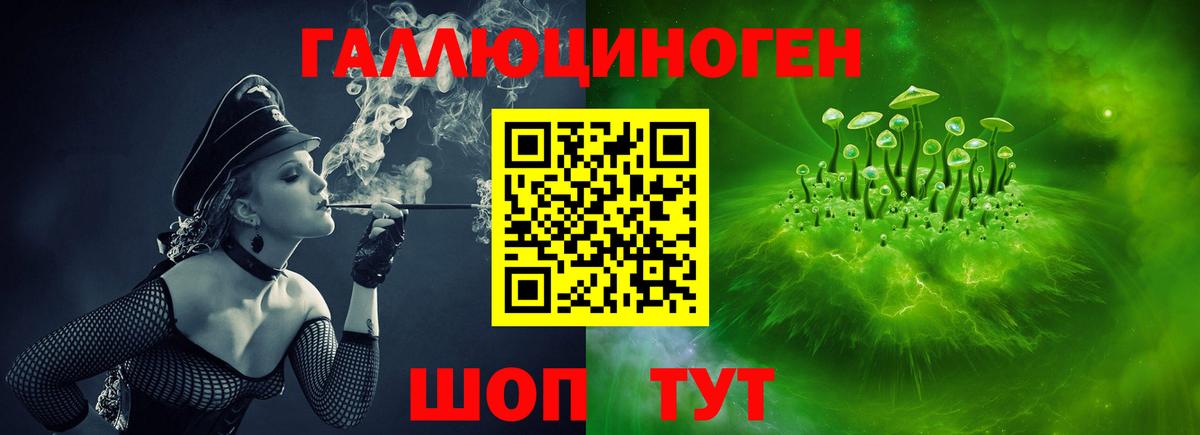 Галлюциногенные грибы Psilocybine cubensis Ялта